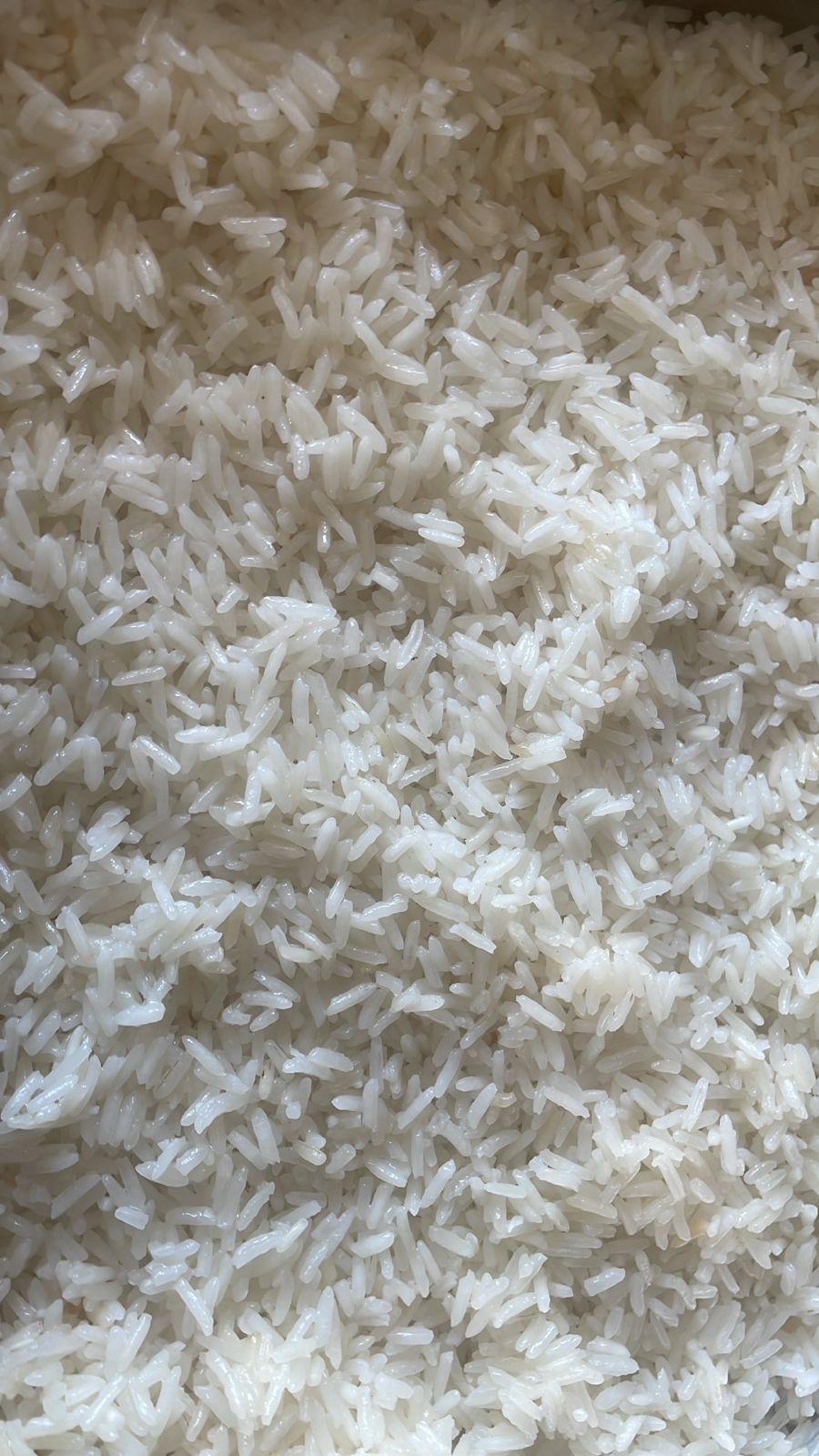 WhatsApp Image 2025-08-21 at 10.39.16.jpeg